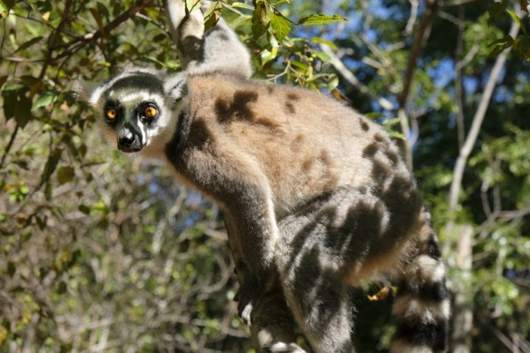 Eric Ferment Photographies Madagascar